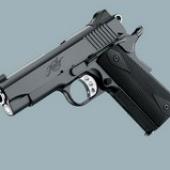 Pro TLE II - .45 ACP